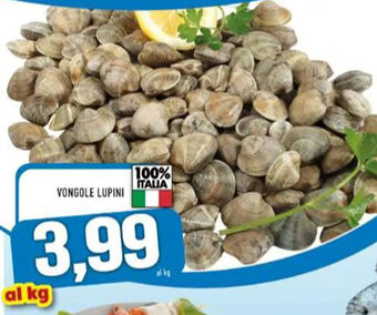 MA Supermercati VONGOLE LUPINI offerta