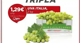 Coop Coop Uva Italia offerta
