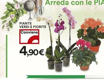 Coop Piante Verdi E Fiorite offerta