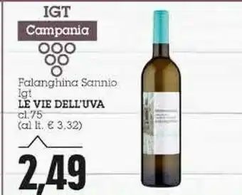 Le Vie Dell'uva Falanghina Sannio Igt
