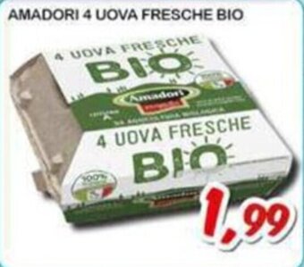 Sacoph AMADORI 4 UOVA FRESCHE BIO offerta