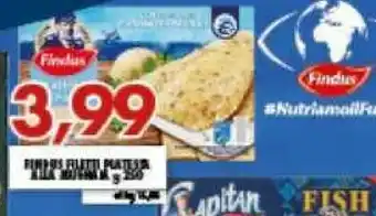 Gros Findus Filetti Di Platessa offerta