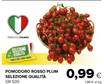 Oasi Pomodorini offerta