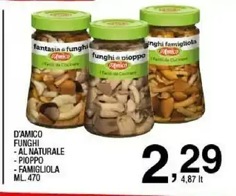 Sigma D'Amico Funghi sott olio offerta