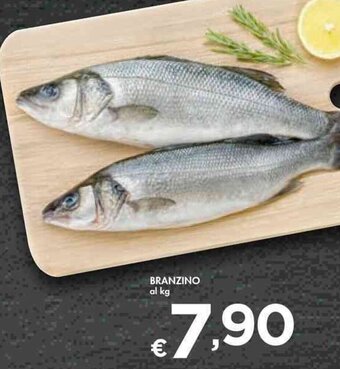 Bennet BRANZINO offerta