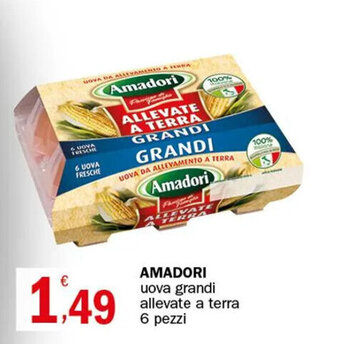 AMADORI uova grandi allevate a terra 6 pezzi