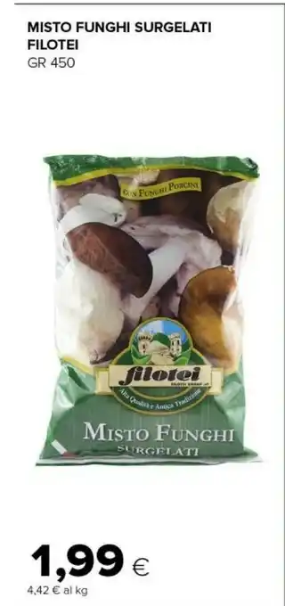 Filotei Funghi