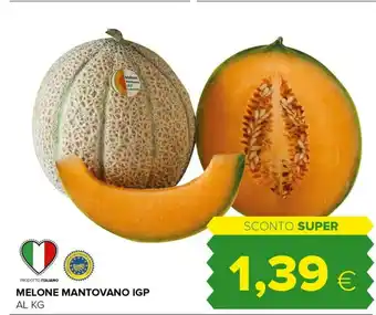 Tigre Melone Mantovano Igp offerta