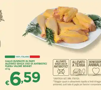 Bennet Bennet Gallo Ruspante In Parti Allevato Senza Uso Di Antibiotici Filiera Valore offerta
