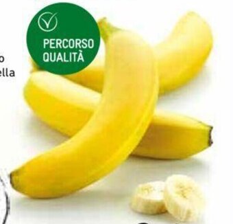 Conad BANANE CONAD PERCORSO QUALITÀ offerta