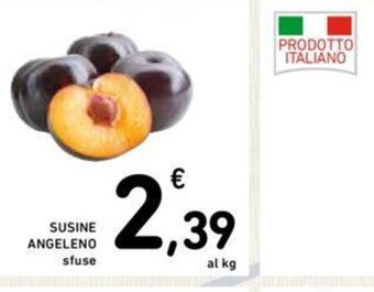 SUSINE ANGELENO