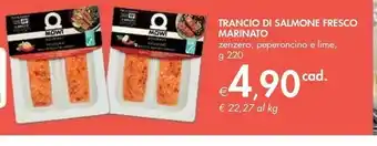 Bennet Mowi Trancio Di Salmone Fresco Marinato Zenzero offerta