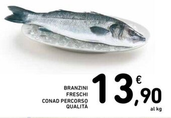 BRANZINI FRESCHI CONAD PERCORSO QUALITÀ