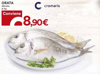 Coop ORATA offerta