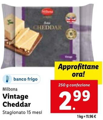 Lidl Milbona Vintage Cheddar Stagionato 15 mesi 250 g confezione offerta