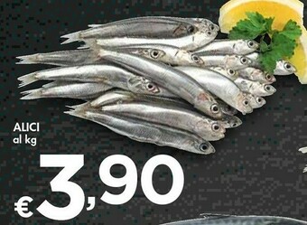 Bennet Alici offerta