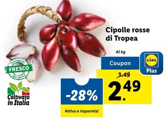 Cipolle rosse di Tropea