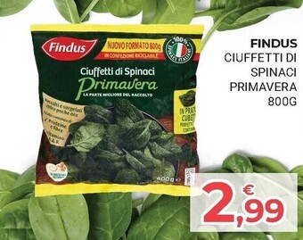 Eté Findus ciuffetti di spinaci primavera offerta