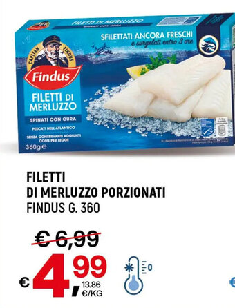A&O FILETTI DI MERLUZZO PORZIONATI FINDUS G. 360 offerta