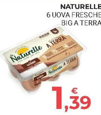 NATURELLE 6 UOVA FRESCHE BIG A TERRA