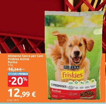 Carrefour Market Alimento Secco per Cani Friskies Active Purina 9 kg offerta