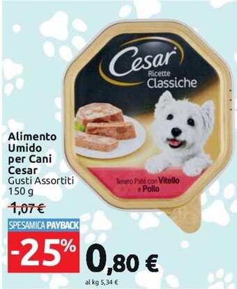 Alimento Umido per Cani Cesar Gusti Assortiti 150 g