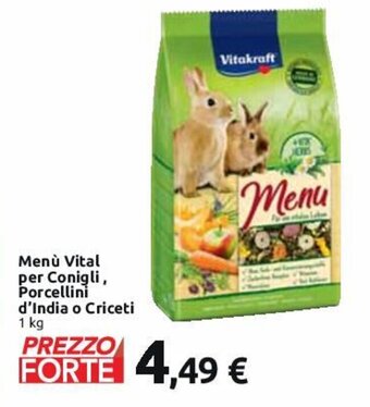 Carrefour Market Menù Vital per Conigli, Porcellini d'India o Criceti 1 kg offerta