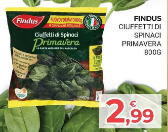 Eté FINDUS CIUFFETTI DI SPINACI PRIMAVERA 800G offerta