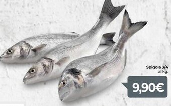 Eurospar Spigola 3/4 offerta