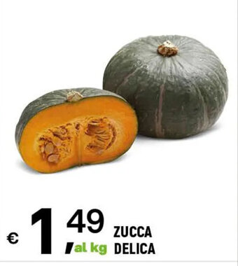 A&O ZUCCA DELICA offerta