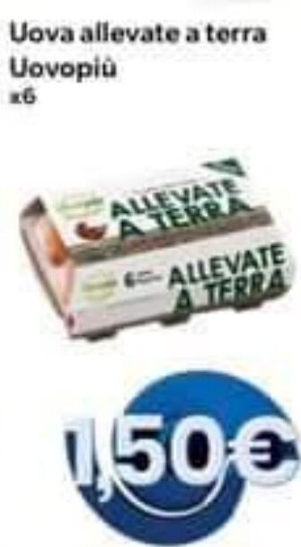 MAX Supermercati Uova allevate a terra Uovopiù x6 offerta