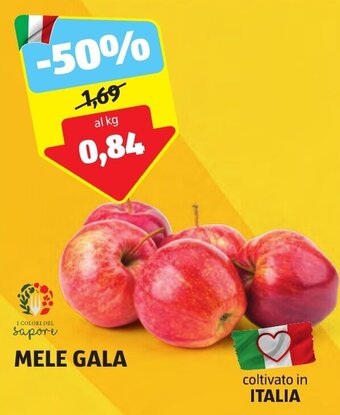 ALDI MELE GALA offerta