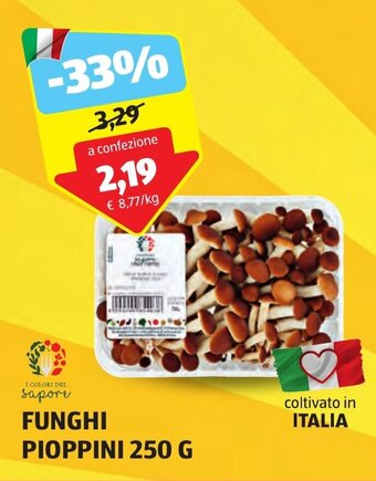 FUNGHI PIOPPINI 250 G