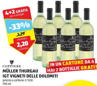 ALDI COPPIERE MÜLLER THURGAU IGT VIGNETI DELLE DOLOMITI 750 ml offerta