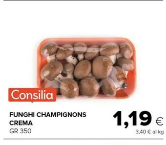 Tigre Consilia Funghi champignon offerta