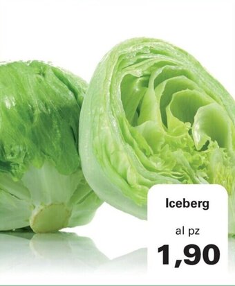 Alvama Iceberg offerta
