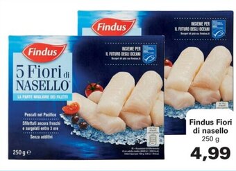 Alvama Findus Fiori di nasello 250 g offerta