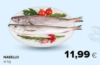 Oasi NASELLO offerta