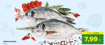 Oasi ORATA 300/600 offerta