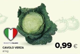 CAVOLO VERZA