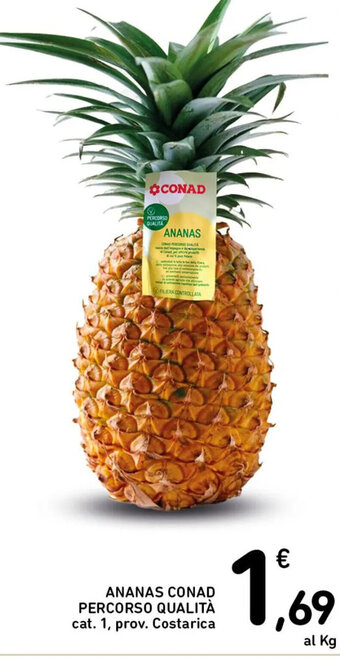 Spazio Conad ANANAS CONAD PERCORSO QUALITÀ offerta