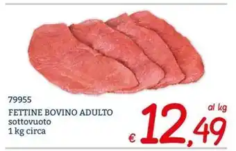 Coop Pampers pannolini o mutandino baby dry offerta