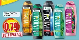 Risparmio Casa VIDAL DOCCIA 250 ML offerta