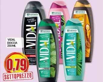 Risparmio Casa VIDAL DOCCIA 250 ML offerta