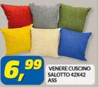 Risparmio Casa VENERE CUSCINO SALOTTO 42X42 ASS offerta