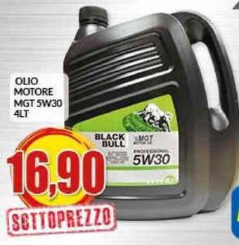 Risparmio Casa OLIO MOTORE MGT 5W30 4LT offerta