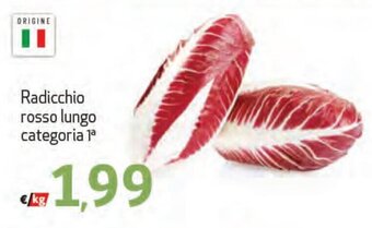 Radicchio rosso lungo