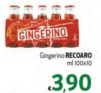 Gingerino RECOARO ml 100x10