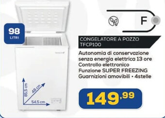 Euronics TECHLIFE CONGELATORE A POZZO TFCP100 offerta
