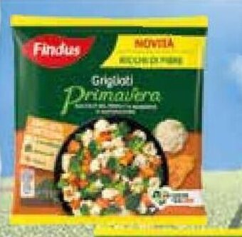 Coop Superstore SPINACI PRIMAVERA FINDUS surgelati, 800 g offerta
